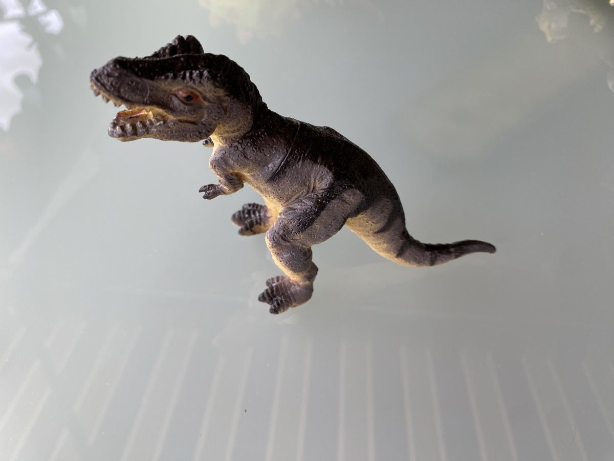 Statuette: Dinosaurier Familie 23 Stück – Usato da Bönigen venduto da fabi_12 5