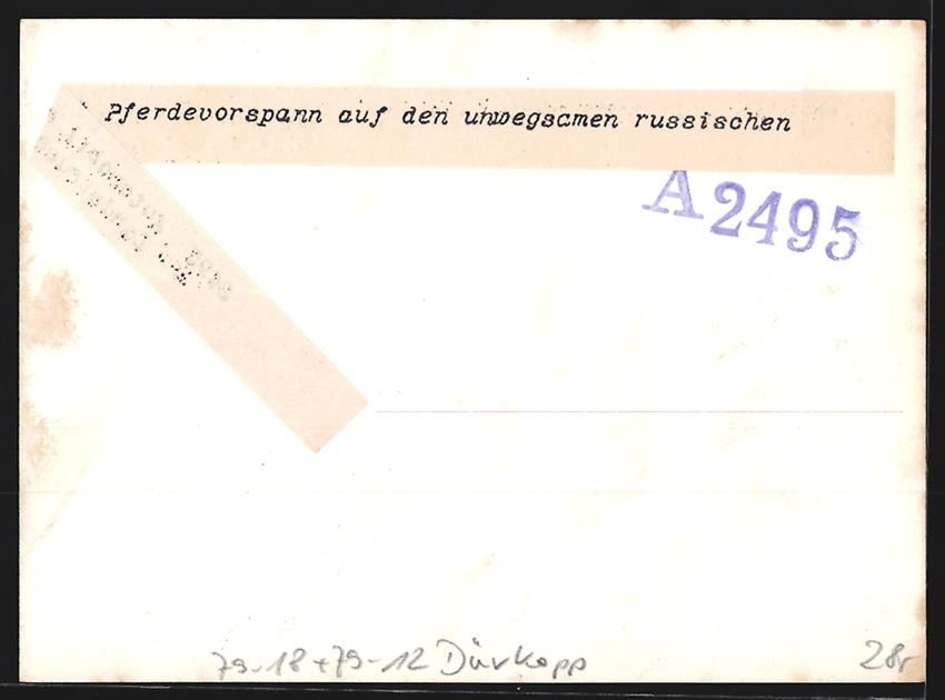Fotografie & Manifesti: Fotografie 1. WK, Pferdevorspann zieht D – Usato da Berlin venduto da bartko-reher 1