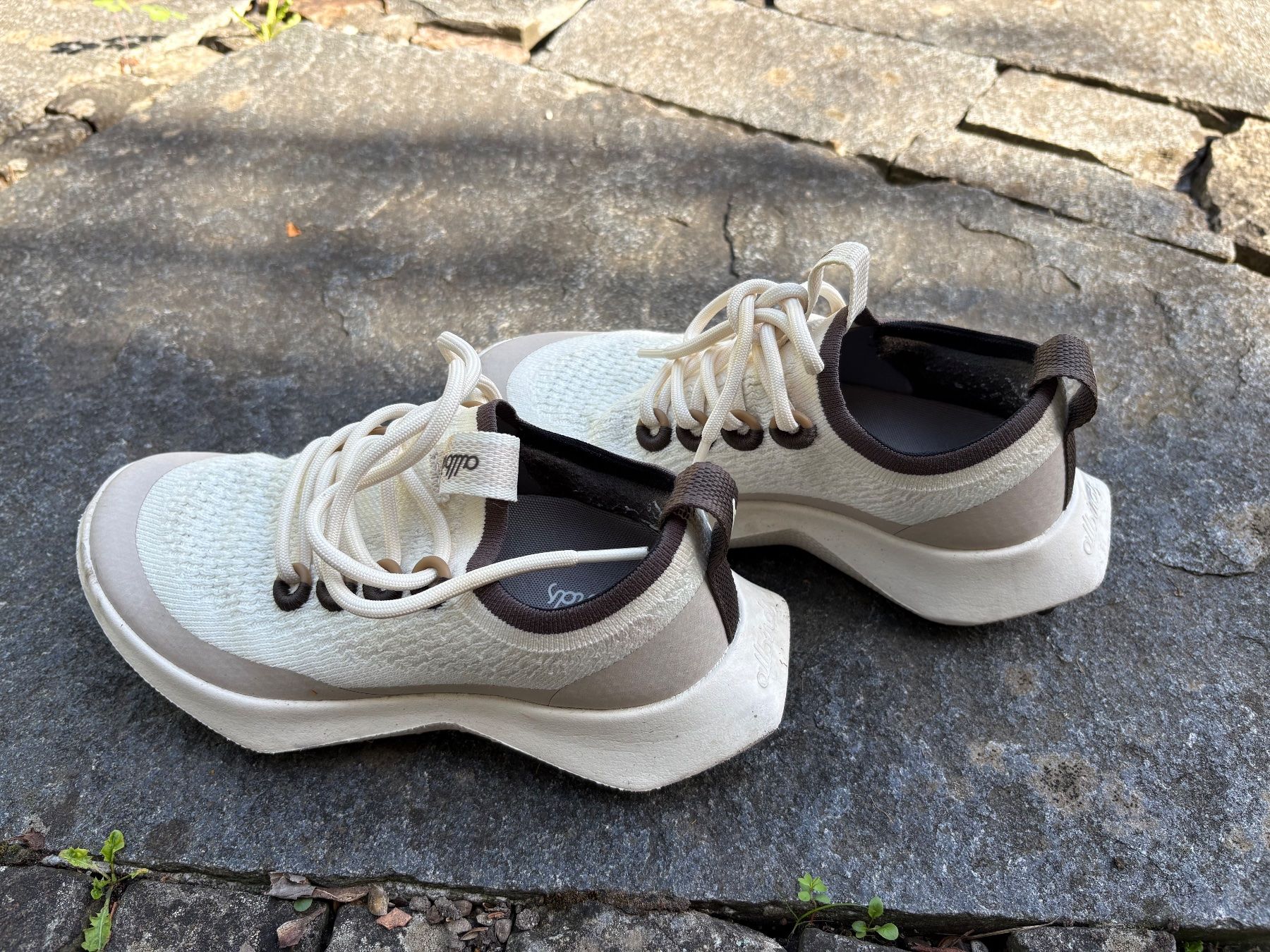 Damenschuhe: allbirds Sneaker - Tree Dasher 2 – Gebraucht aus Zürich von que_kf7d 2