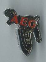 AEG , Pin