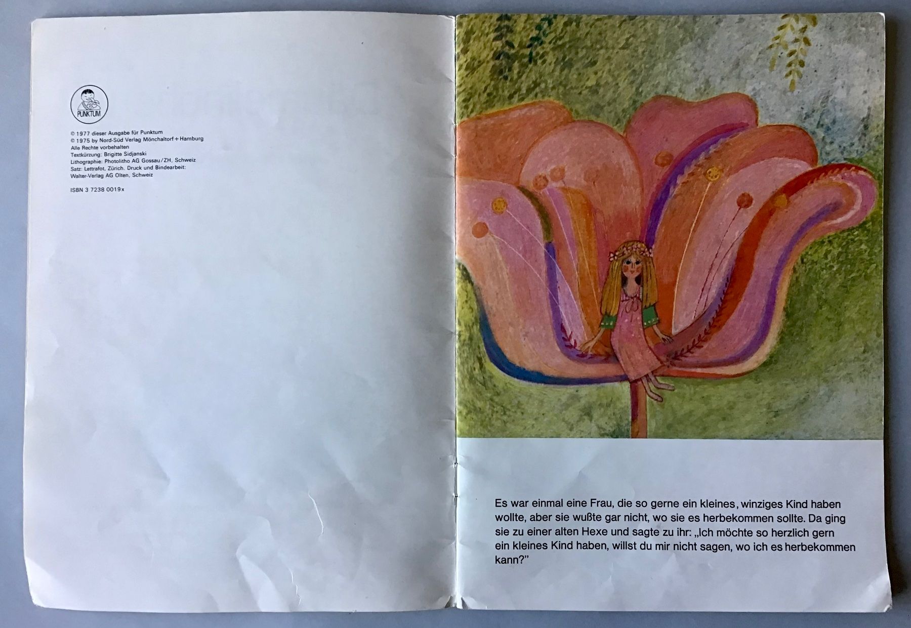 Libri: Bilderbuch: Däumelinchen – Usato da Bubendorf venduto da Alpenheidi 3
