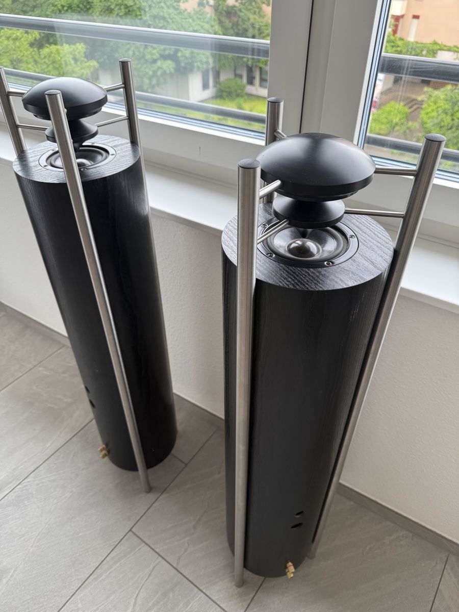 Casse acustiche: Naturschallwandler Campaton Phönix Eroica Klangsäule Therapi – Usato da Muttenz venduto da dav_t52f 2