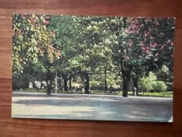 AK  1913 Künstlerkarte Park     (G2708)