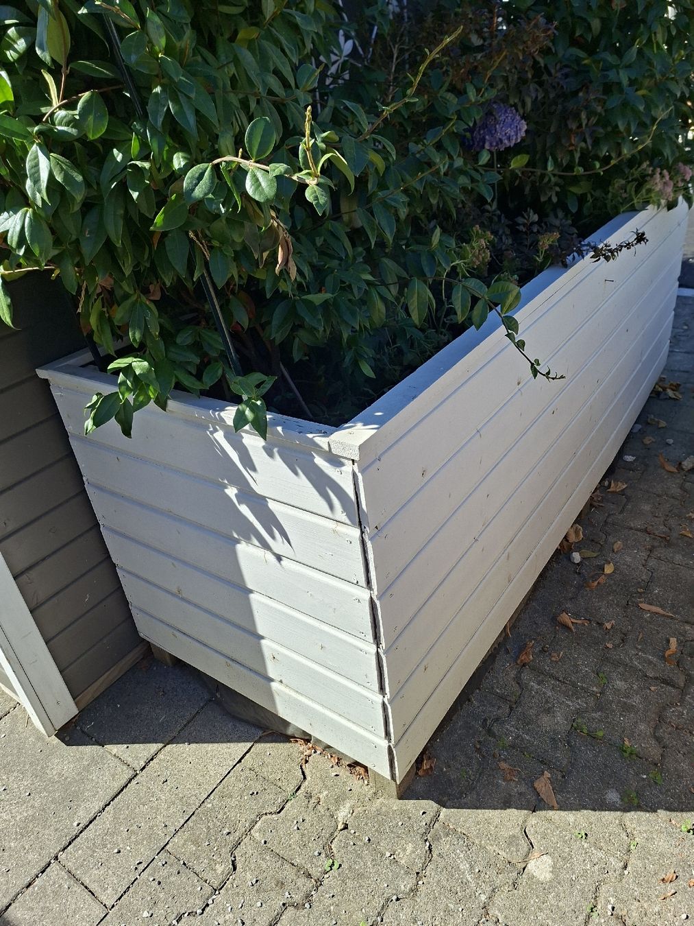 Pots de fleurs: Hochbeet – D'occasion à Stein AG par Benedetta1 1
