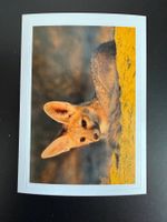 Coop - Welt des Wissens 2016 - Sammelbild Nr. 71 - NEU/NEW
