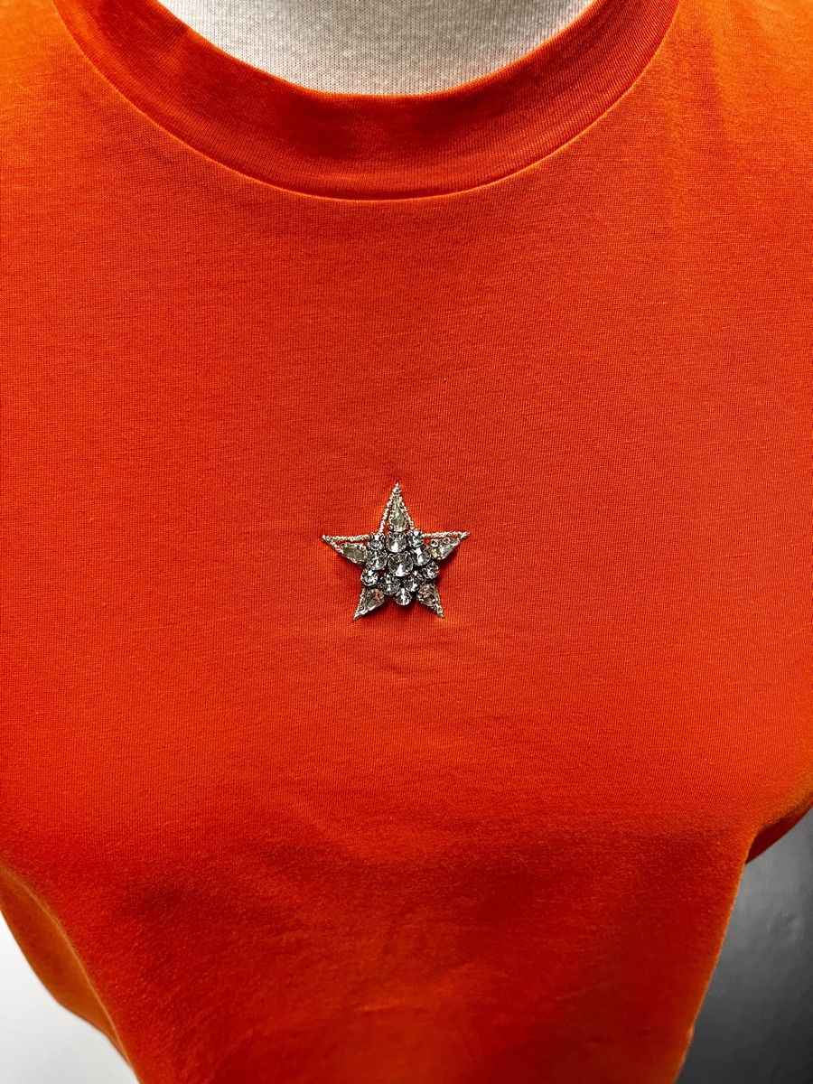 Stella McCartney T-Shirts: stella mccartney t-shirt – Neu (gemäss Beschreibung) aus Hildisrieden von Inna71 3