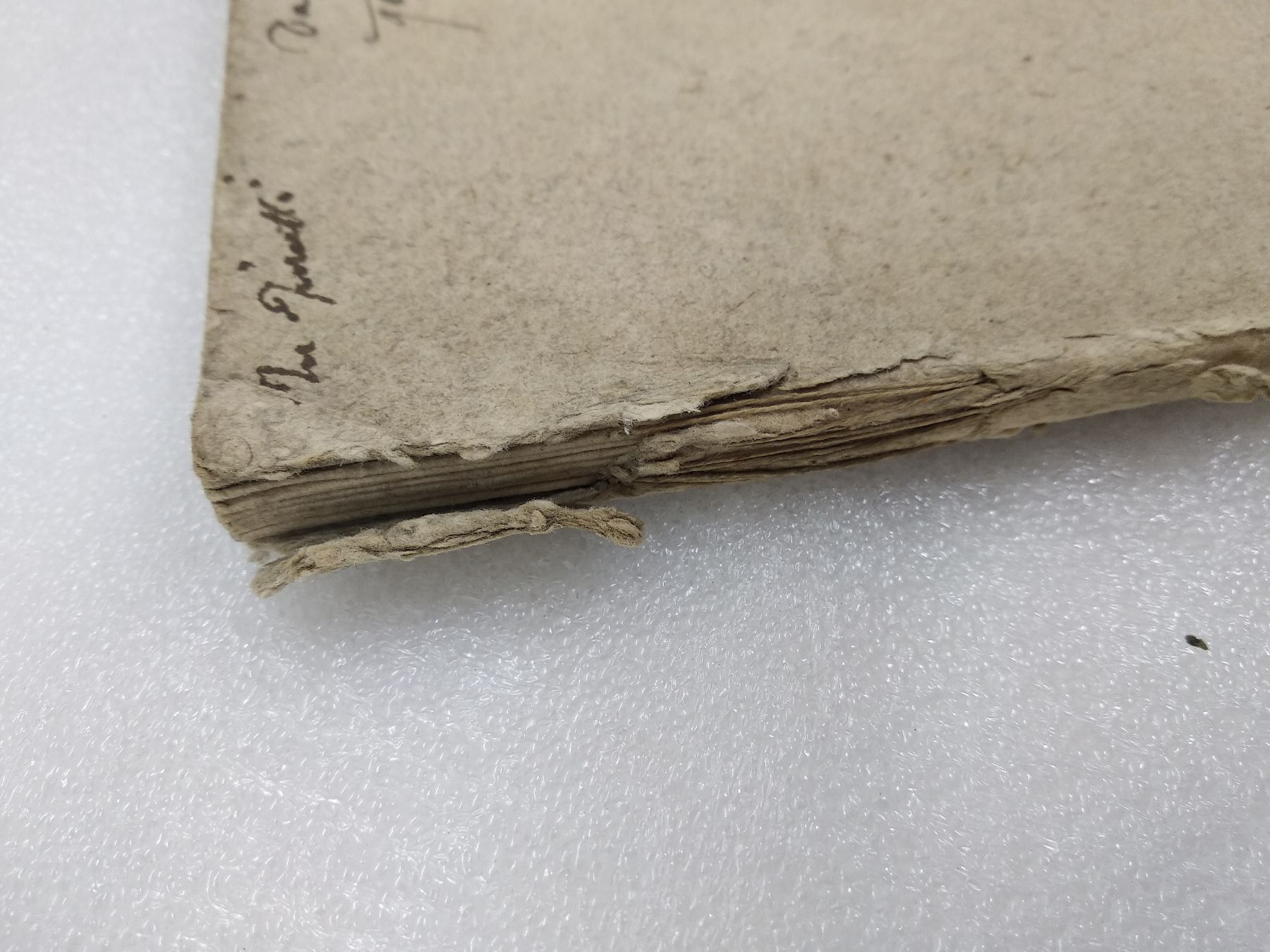 Libri: BINA SCRIPTA 1741 – Usato da Goldach venduto da Gaip 6