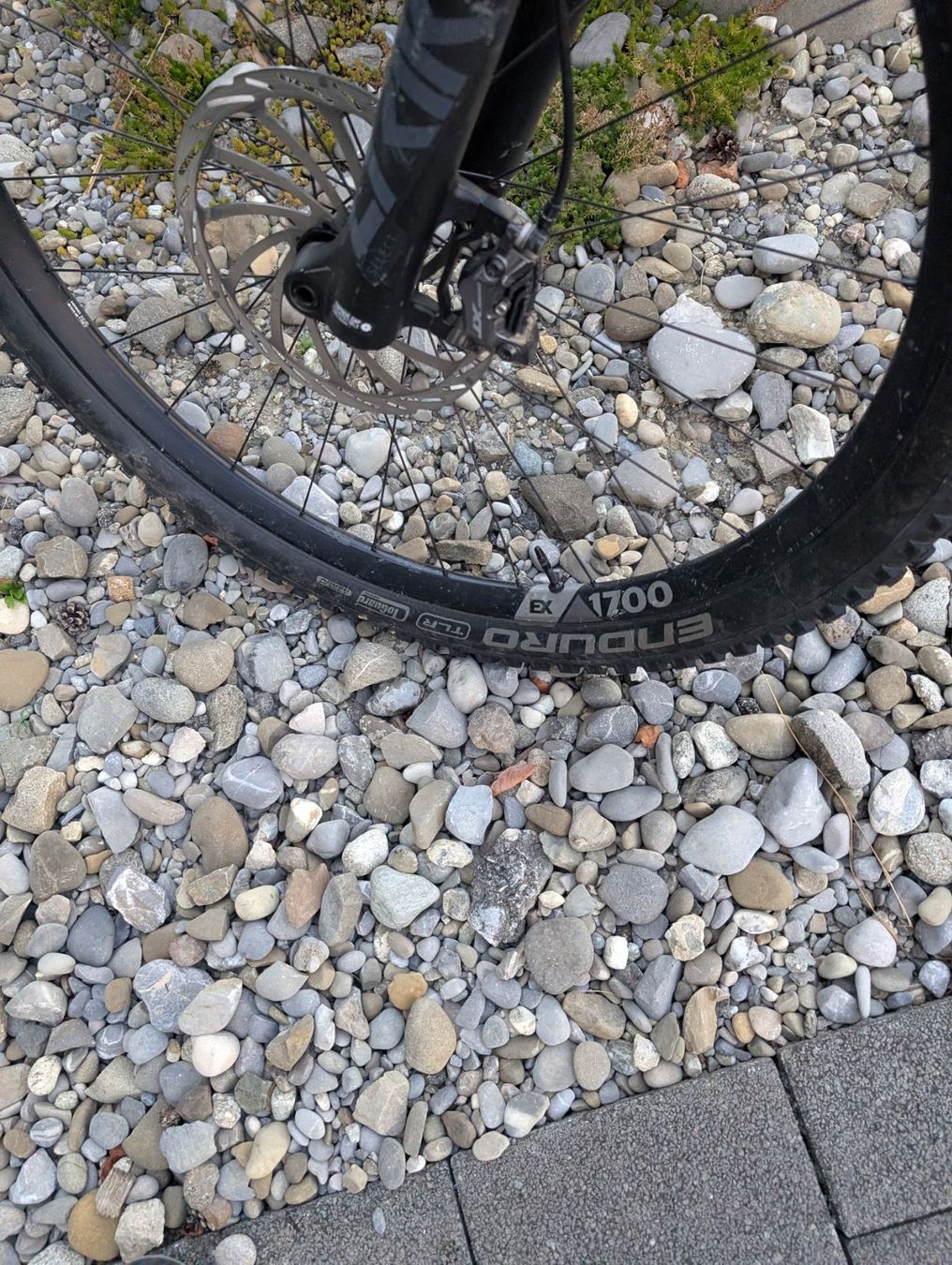Specialized Vélos: Specialized Enduro 21 – D'occasion à Murten par jul_9kgx 2