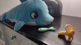 E Delfin zum Spielen und Kuscheln