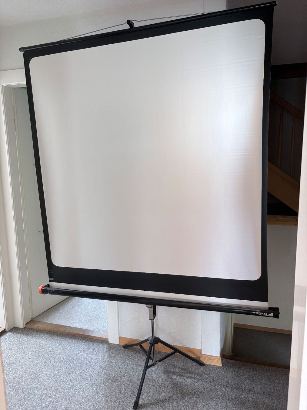 Carena Proiettori: Carenea DiaProjektor mit Leinwand – Usato da Bonstetten venduto da Bunna 5