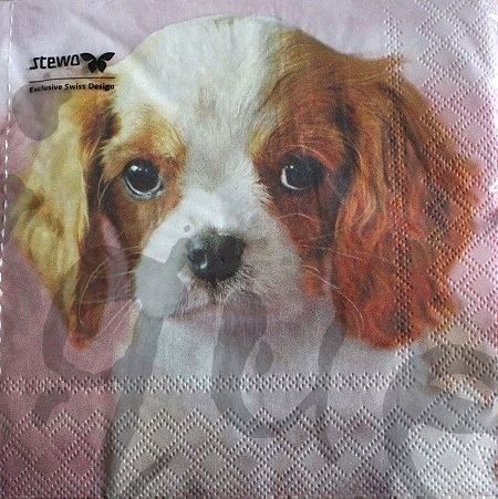 Servietten: Serviette galti (1096) 2Stk. – Neu (gemäss Beschreibung) aus Schlatt TG von kreativ-atelier