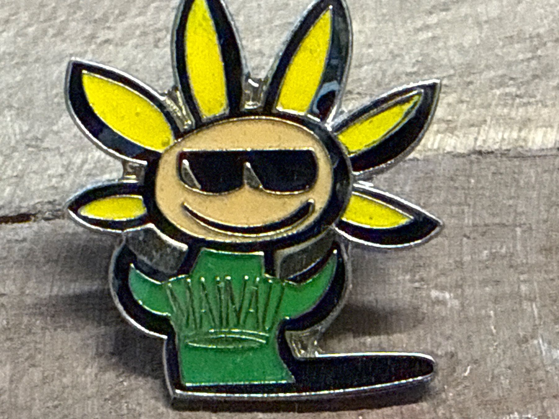 Plaquettes & Badges: Pin – D'occasion à Amriswil par used2use