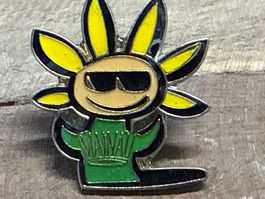 Pin
