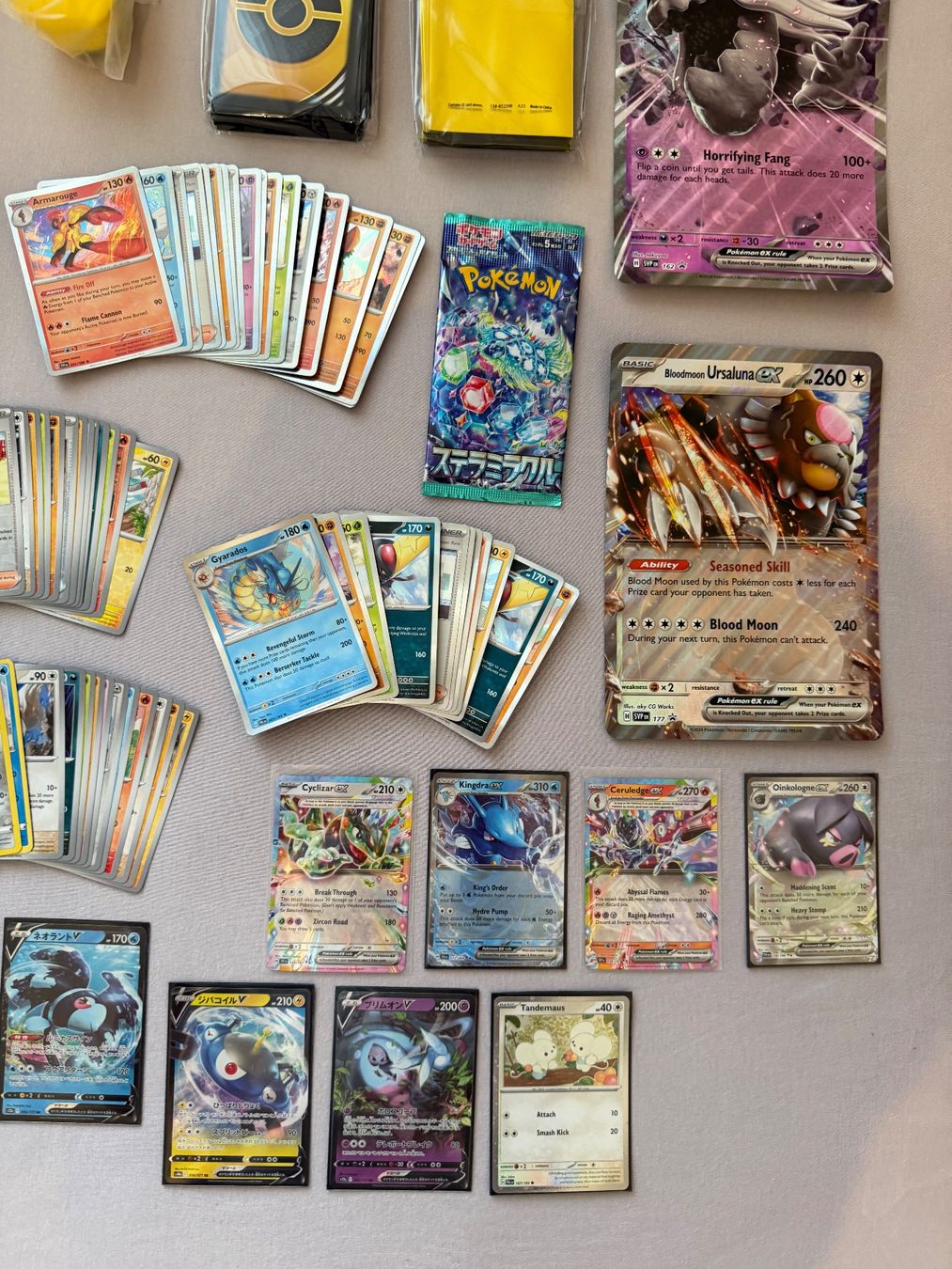 Pokémon Carte collezionabili: Grosse Pokémonkarten Sammlung ab 1.- – Nuovo (secondo la descrizione) da St. Gallen venduto da Xbylucas 5