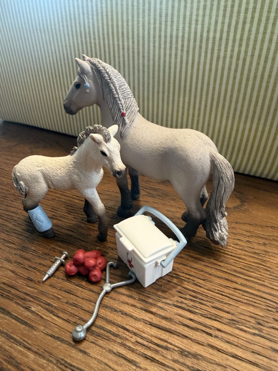Schleich Giocattoli: Schleich Hannas Erste Hilfe  – Usato da Auw venduto da grisu81 1