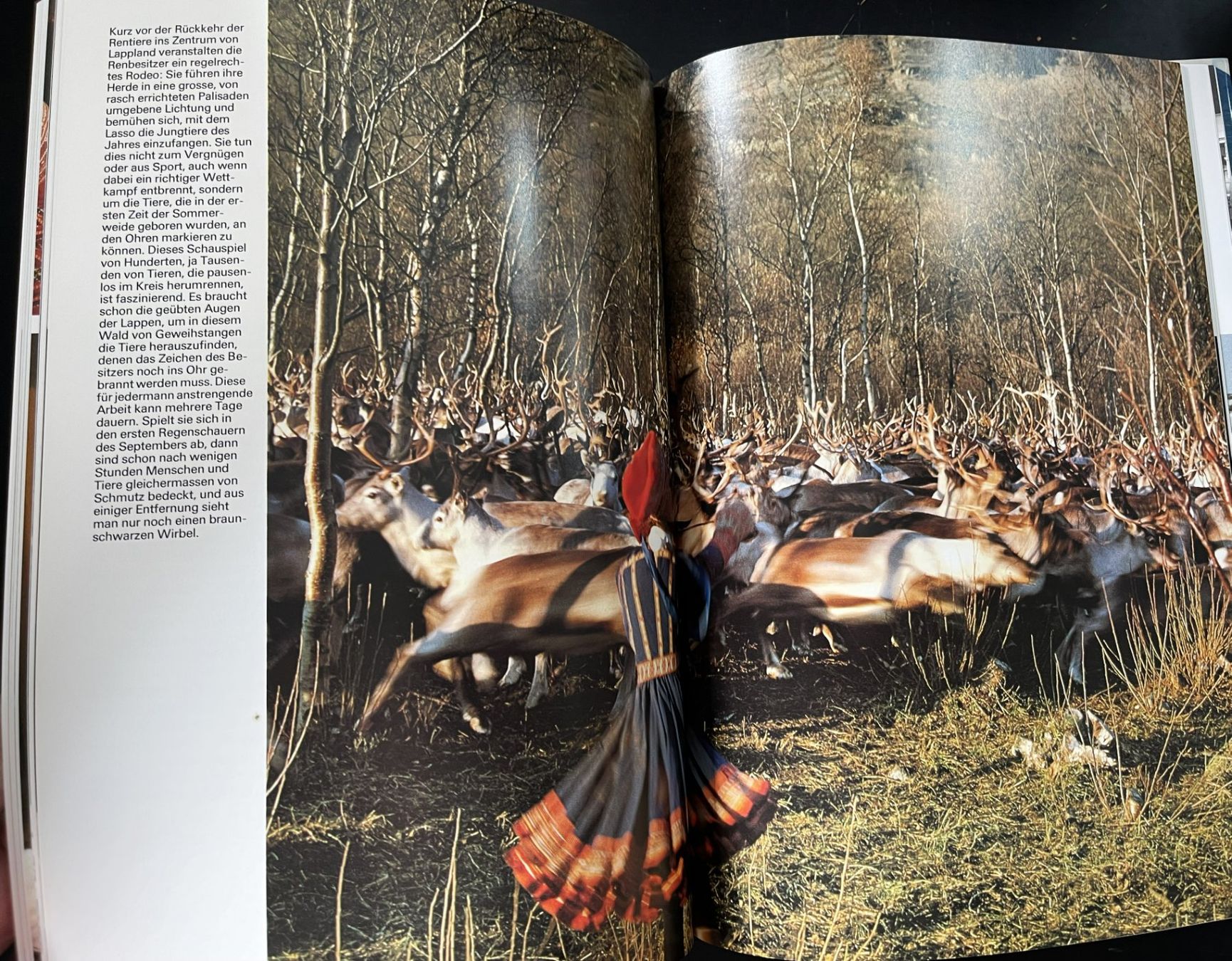 Libri: Silva Verlag, Lappland, 1977 – Usato da Oftringen venduto da Vucki 5