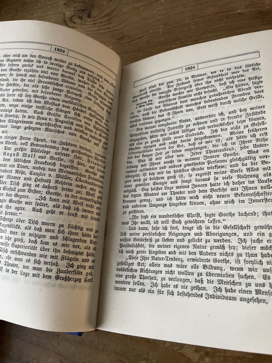 Libri: Johann Peter Eckermann - Gespräche mit Goethe, 1925 – Usato da Winterthur venduto da cheerio97 5