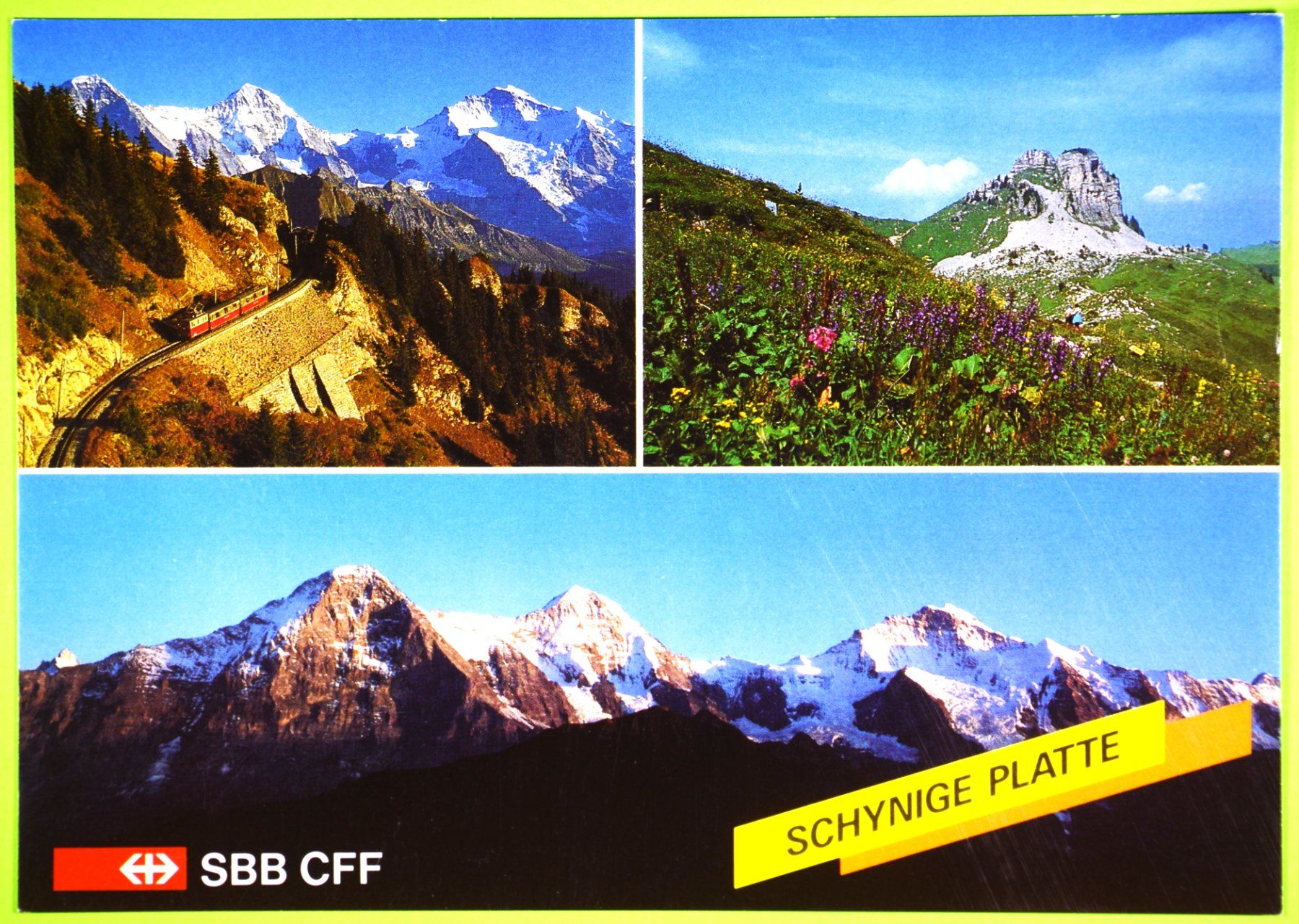 Cartoline postali: ANSICHTSKARTE / SCHYNIGE PLATTE, BERNER OBERLAND / SBB – Nuovo (secondo la descrizione) da Luzern venduto da piro12