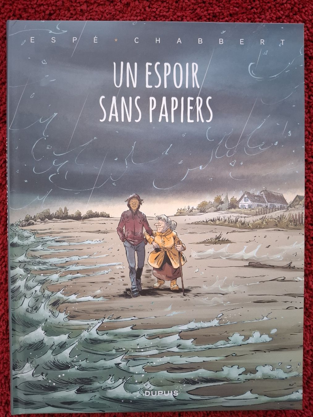 Fumetti: Un espoir sans papiers – Nuovo (secondo la descrizione) da Petit-Lancy venduto da lucien63