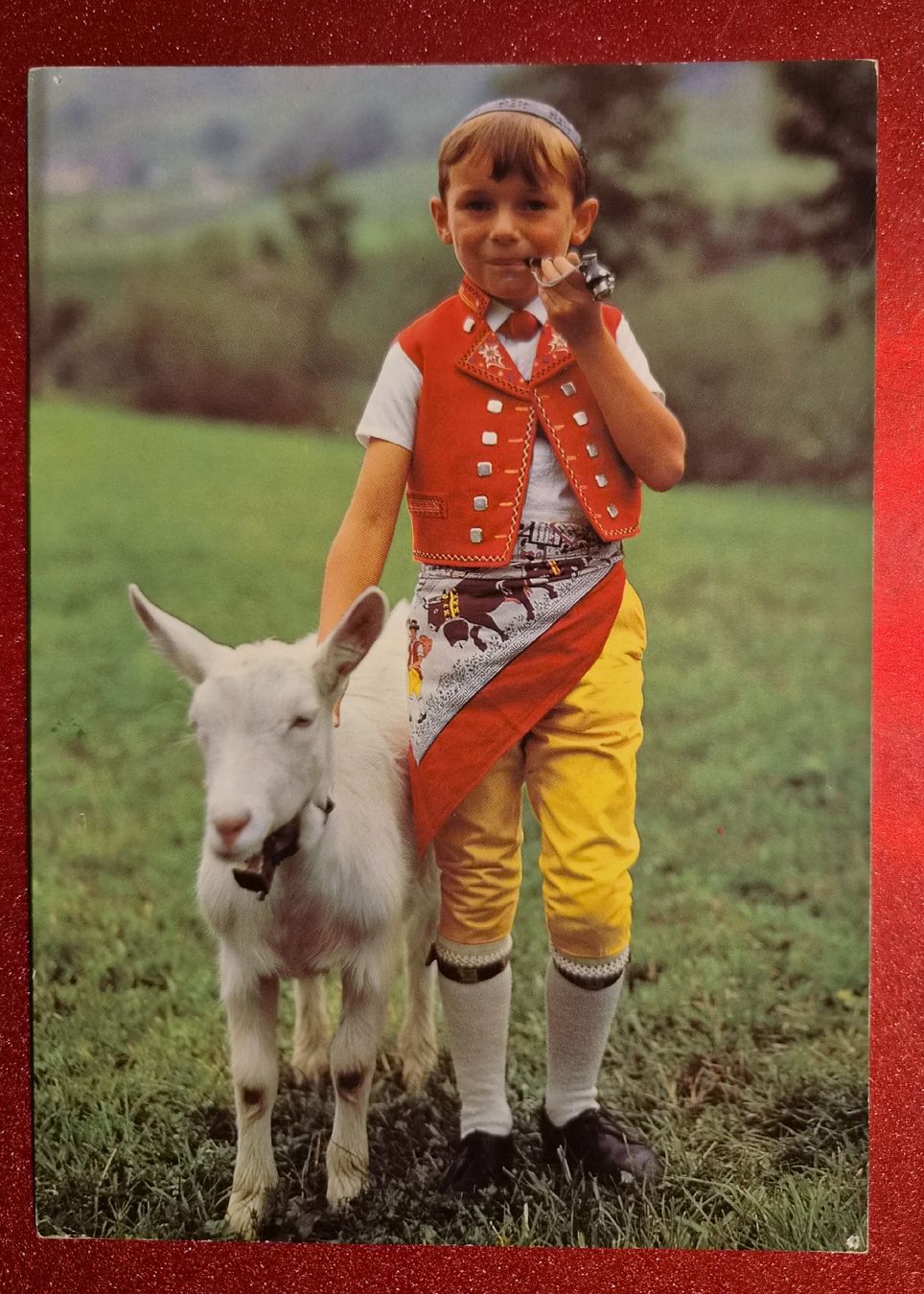 Cartoline postali: Sennbub mit Geiss, Appenzell – Nuovo (secondo la descrizione) da Melchnau venduto da Arthurius