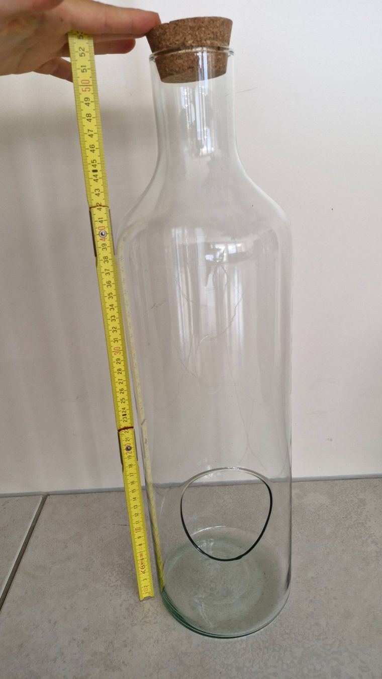 Tutte le decorazioni: Glasflasche/Pflanzflasche/Blumentopf/Bastelgefäss/Deko – Usato da Urdorf venduto da Jasmin.lee 3