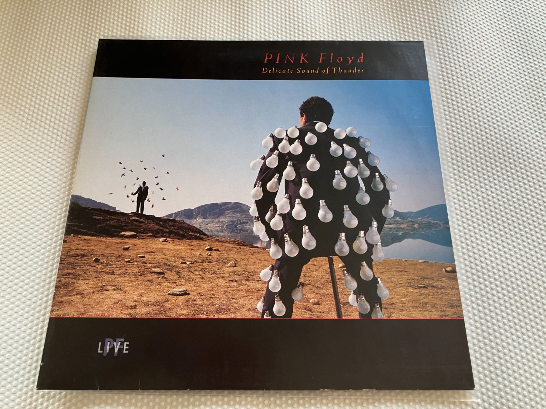 Dischi in vinile: Pink Floyd – Usato da Aarwangen venduto da Jukebox3