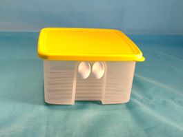 Tupperware Behälter mit Lüftung für Gemüse und Früchte