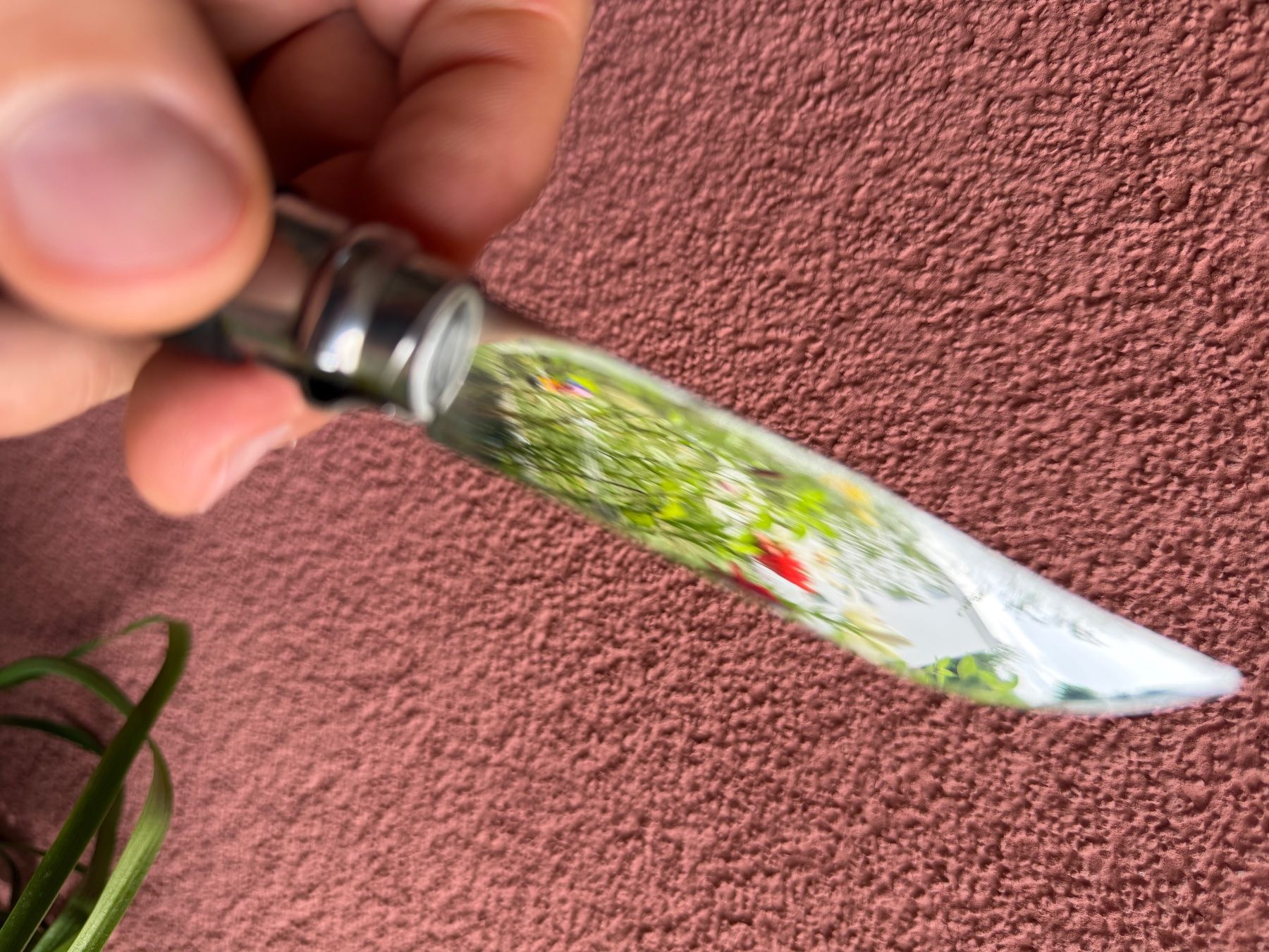 Coltelli tascabile: Opine inox no 8 -Taschenmesser – Usato da Niederhasli venduto da swissbrocki 2