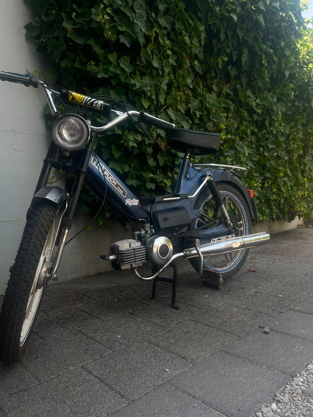 Puch Mofas: Puch Maxi S – Gebraucht aus Düdingen von chanjira