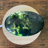 ✲ Moosachat Handschmeichler ✲ 43g / 56mm Agate Palm Stone