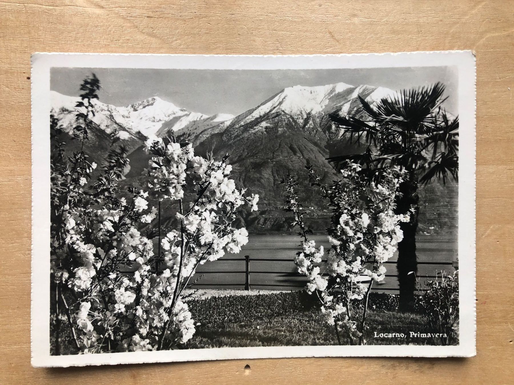Cartoline postali: Locarno Primavera ~ 1950 – Usato da Neuchâtel venduto da Atahuallpa