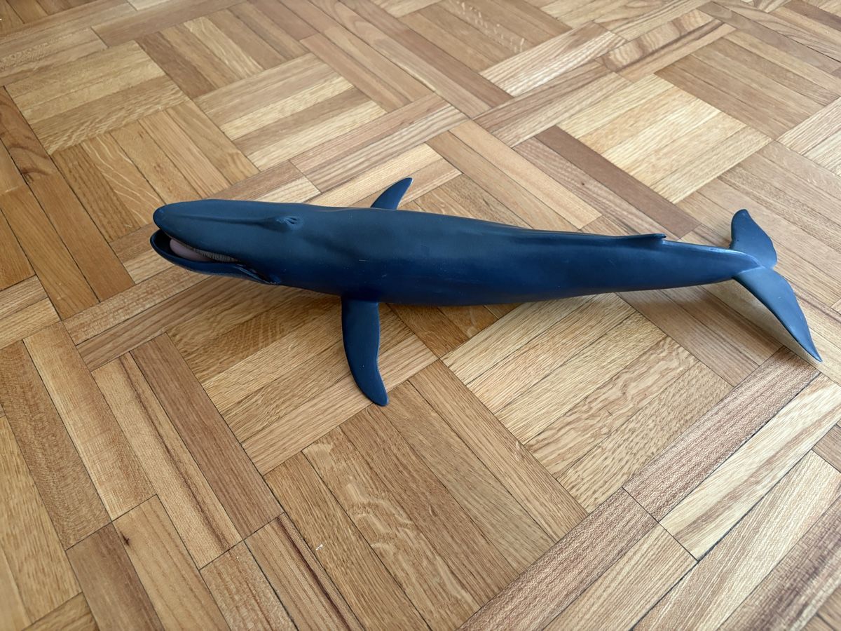 Schleich Jouets: Jouet bain Baleine – D'occasion à Genève par cec_6qrf 2
