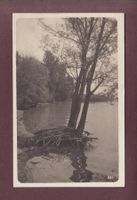 Photo - Stempel BIEL - 1909 // kleine Löcher //