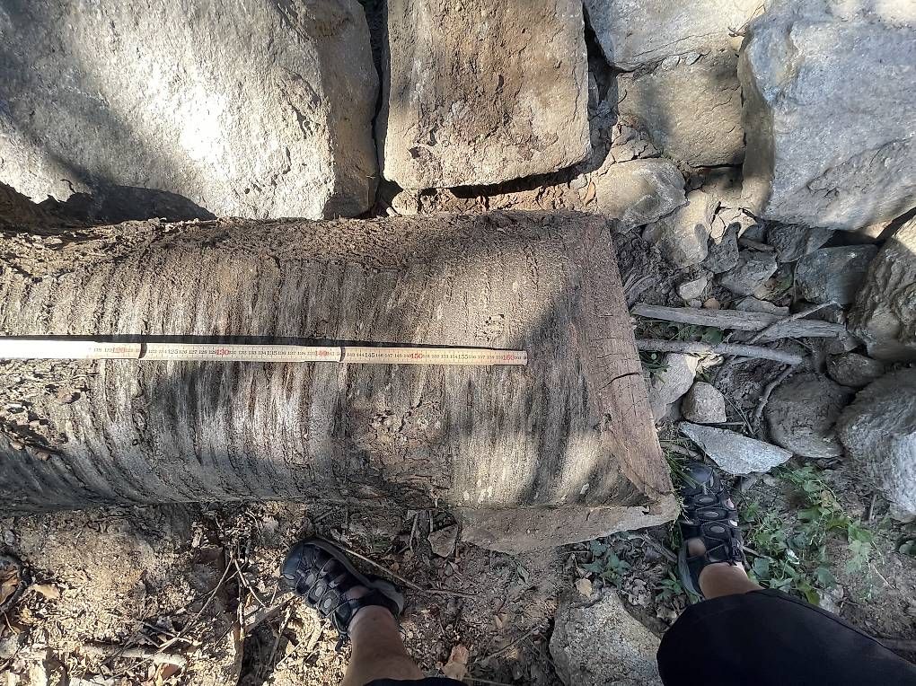 Articoli in legno: Kirsche als Massiv Holz  – Usato da Naters venduto da brunteles 2