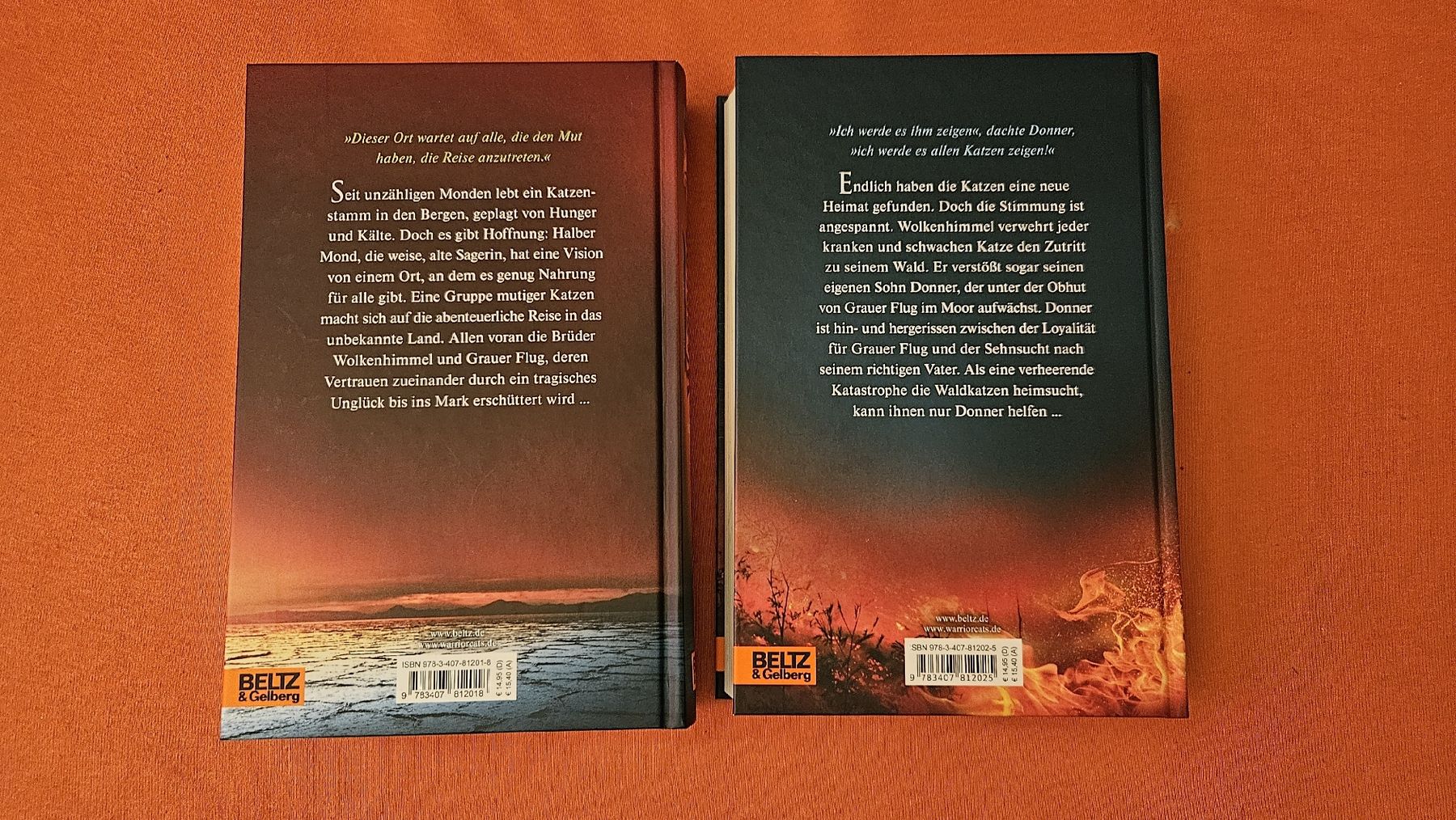 Libri: Warrior Cats Staffel 5 Band 1&2 – Usato da Grenchen venduto da ailina_aeschlimann 1