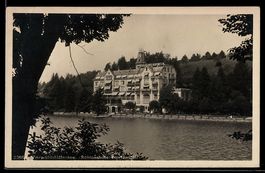 AK Hertenstein /Vierwaldstättersee, Schlosshotel Hertenstein