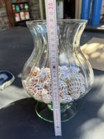 Glasvase mit Muscheln Dekoration ca 27 cm Höhe gebraucht