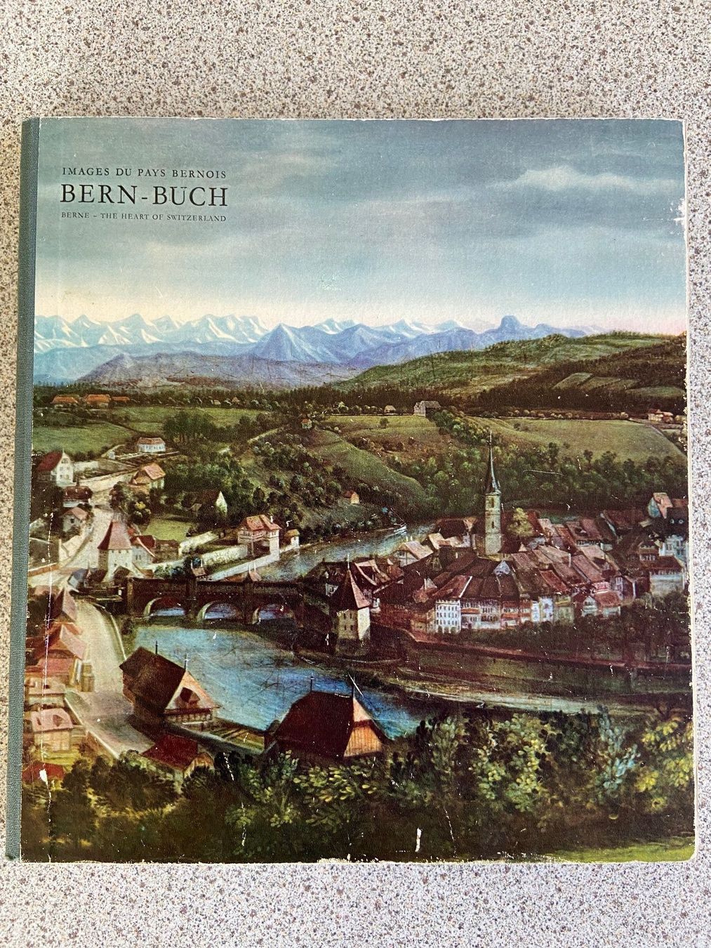 Livres: dreisprachiges Bern - Buch – D'occasion à Böckten par Hansi36