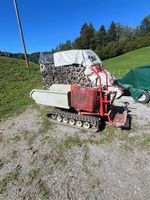 YANMAR Raupendumper / 780kg
