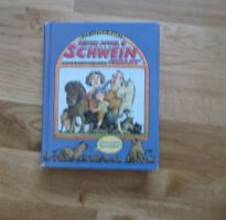 Meyer-Quast Else - Selten soviel Schweiz gehabt (geb)/Jugend
