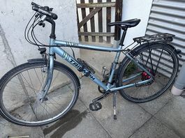 Citybike mit Rohloff