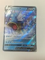 Gyrardos V (EVS 028) In english