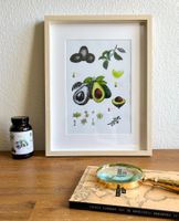 A4 Druck Print von Handgemalte Botanische Avocado mit Rahmen