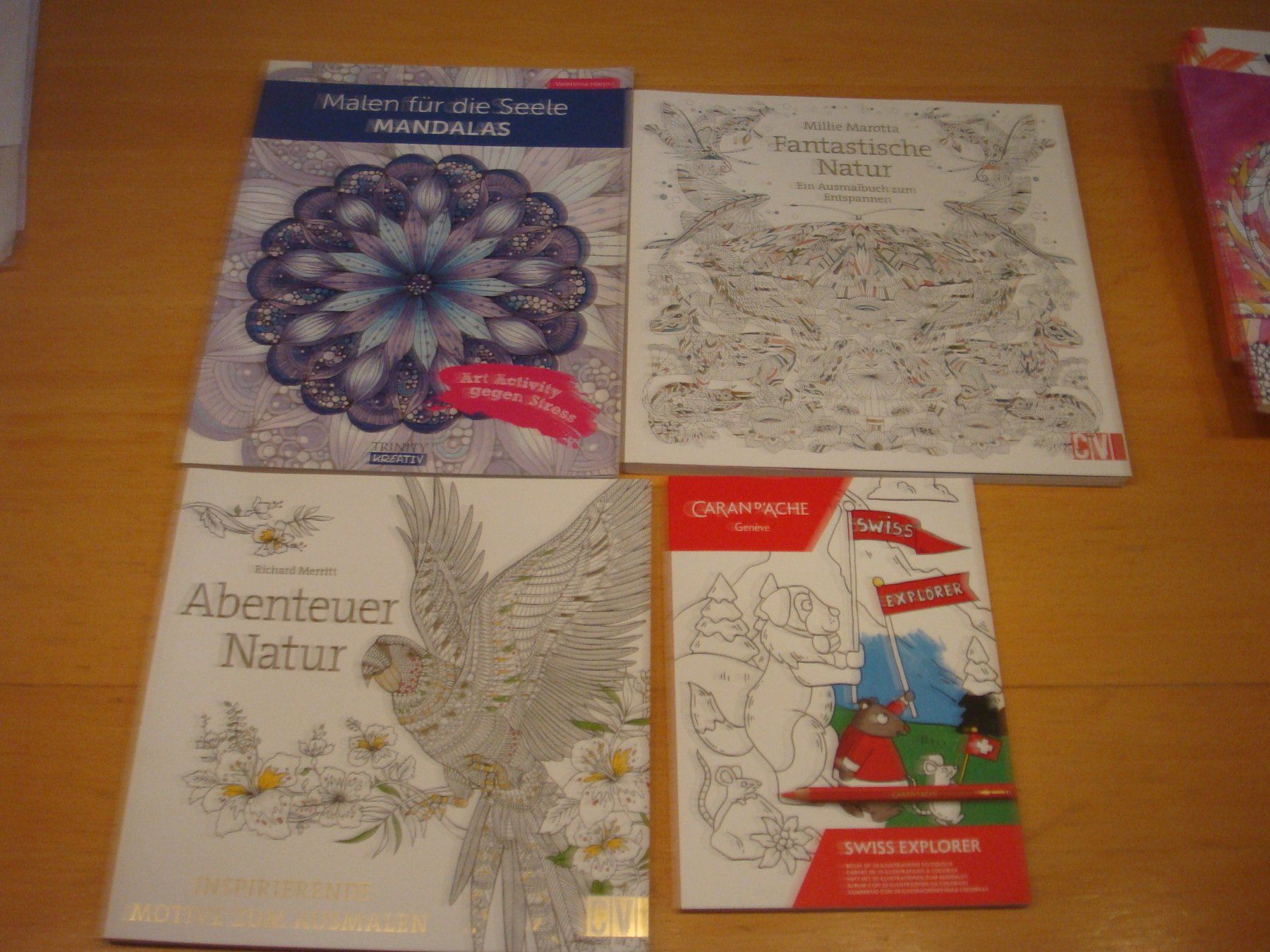 Bastelsets: Mandalas verschiedene zum Ausmalen – Gebraucht aus Reinach BL von Maryichbins 1