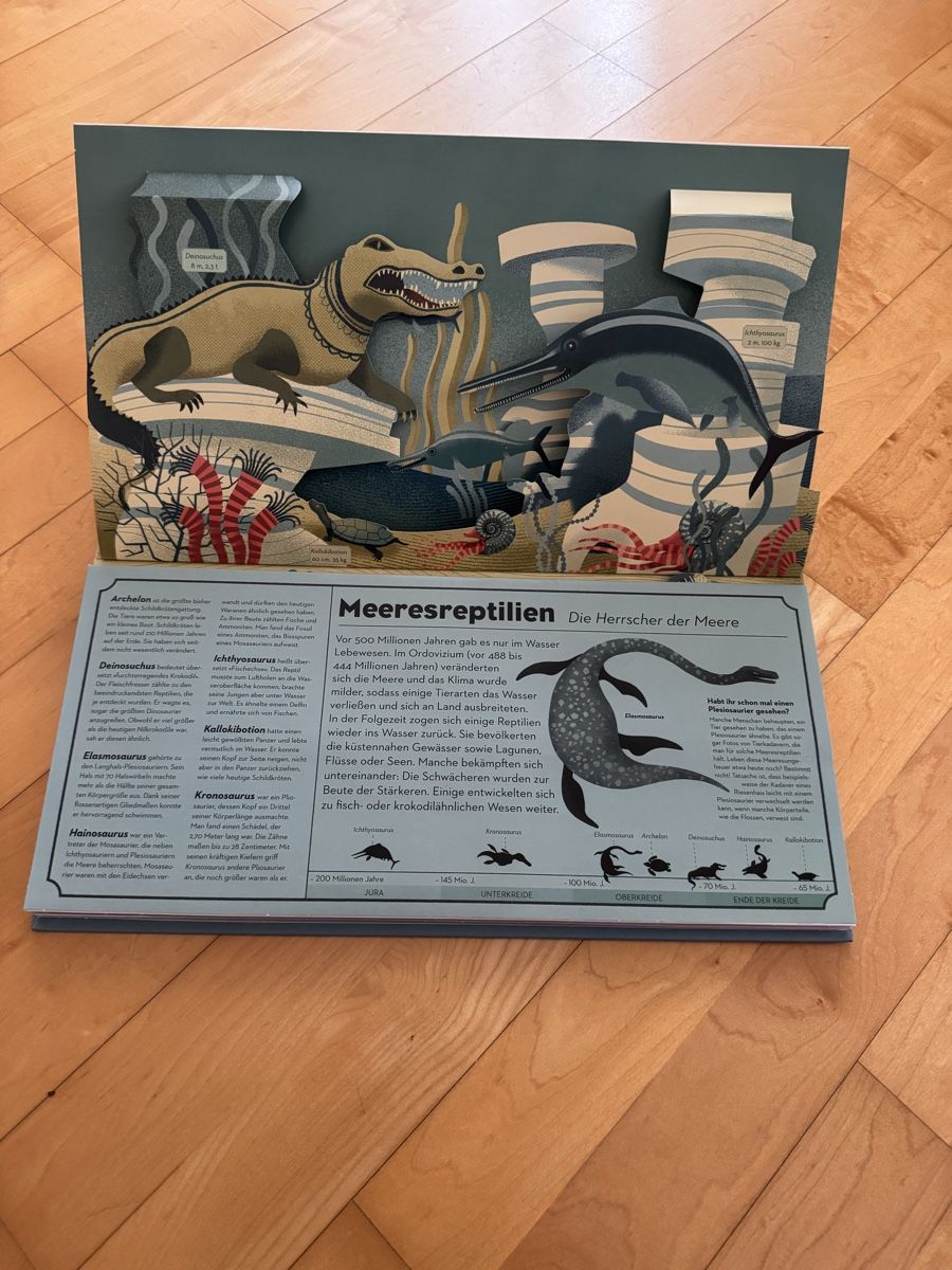 Libri: Dinobuch Pop up – Nuovo (secondo la descrizione) da St. Gallen venduto da Raqualele 3