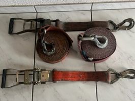 2 Stk. Spannset Zurgurte 7.5 m mit Sicherheitshacken