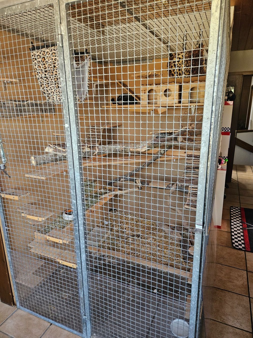 Cages, transport & sécurité: Chinchilla Käfig – D'occasion à Moosleerau par mar_lr8m 1