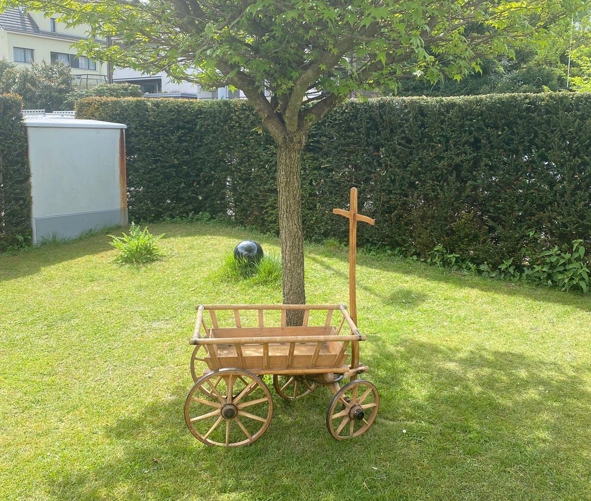 Kinderwagen: Leiterwagen für Kinder – Gebraucht aus Rüschlikon von Escape69 1