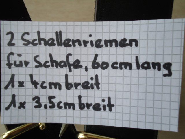 Campanacci mucche: 2 Schafriemen – Nuovo (secondo la descrizione) da Stein AR venduto da dylesi 4