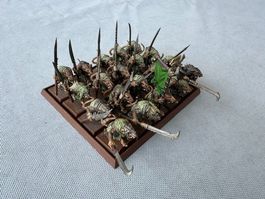 Warhammer - Tow - Skaven - 20 Klanratten - Top bemalt - A